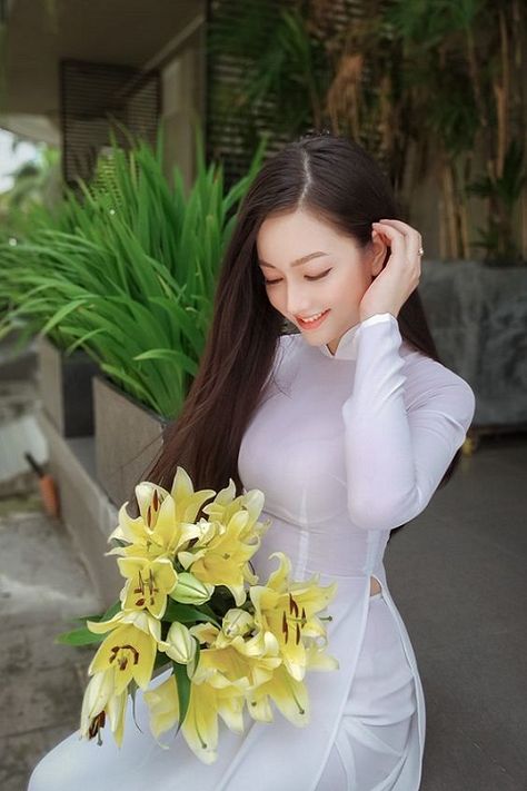 凤凰还巢